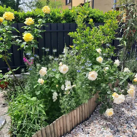 Lägenhet Marianna Garda Peschiera del Garda