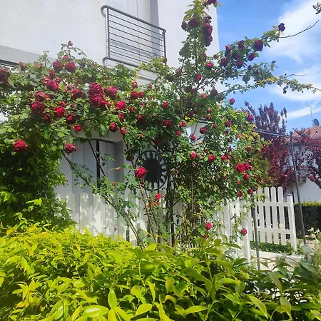 Marianna Garda Lägenhet