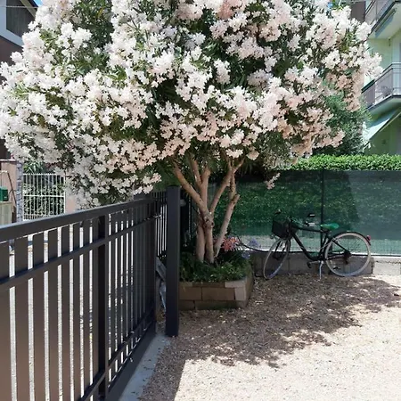 Marianna Garda