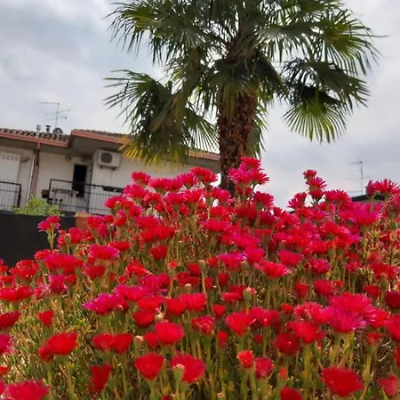 Apartment Marianna Garda *